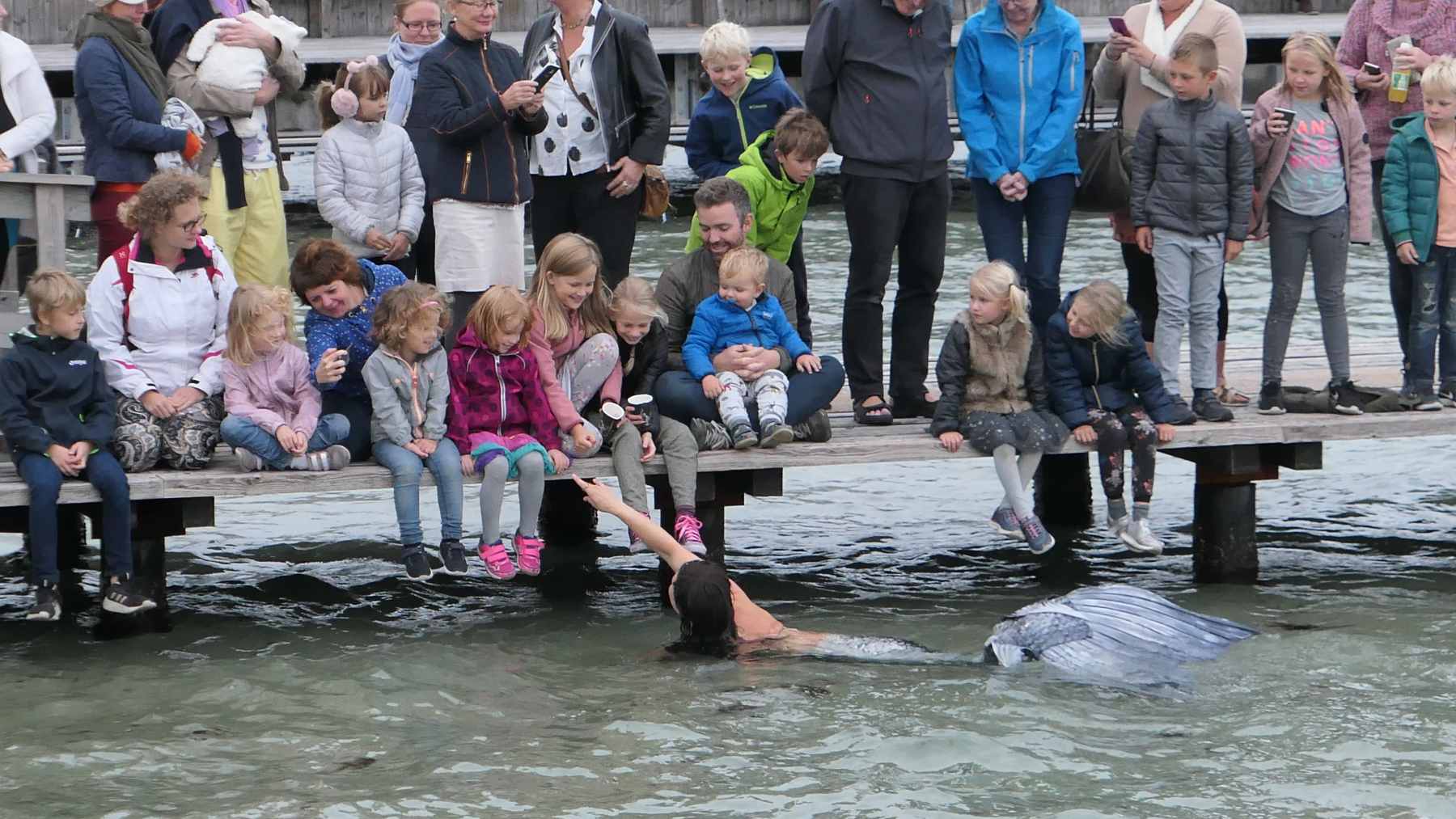Dines Bogø